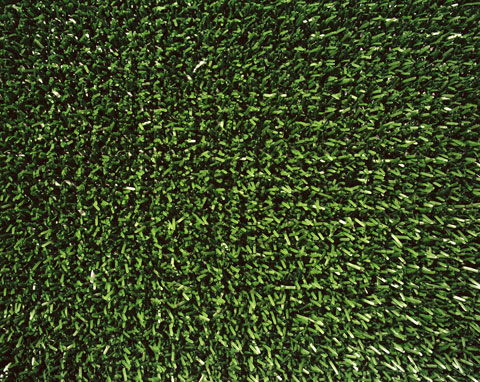 Rental store for ASTRO-TURF 15.5FT.X11.5FT. in Batesville MS