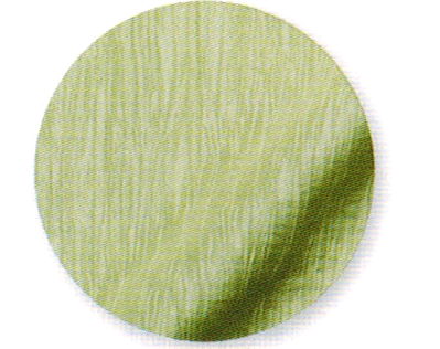 Rental store for GREEN SAGE NOVA SOLID SASH in Batesville MS