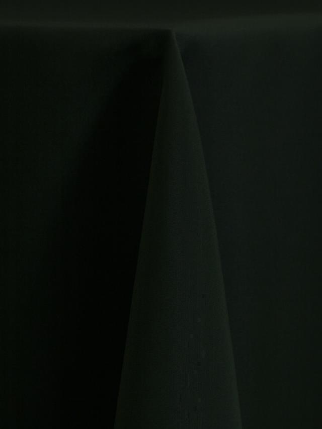 Rental store for HUNTER GREEN SASH in Batesville MS