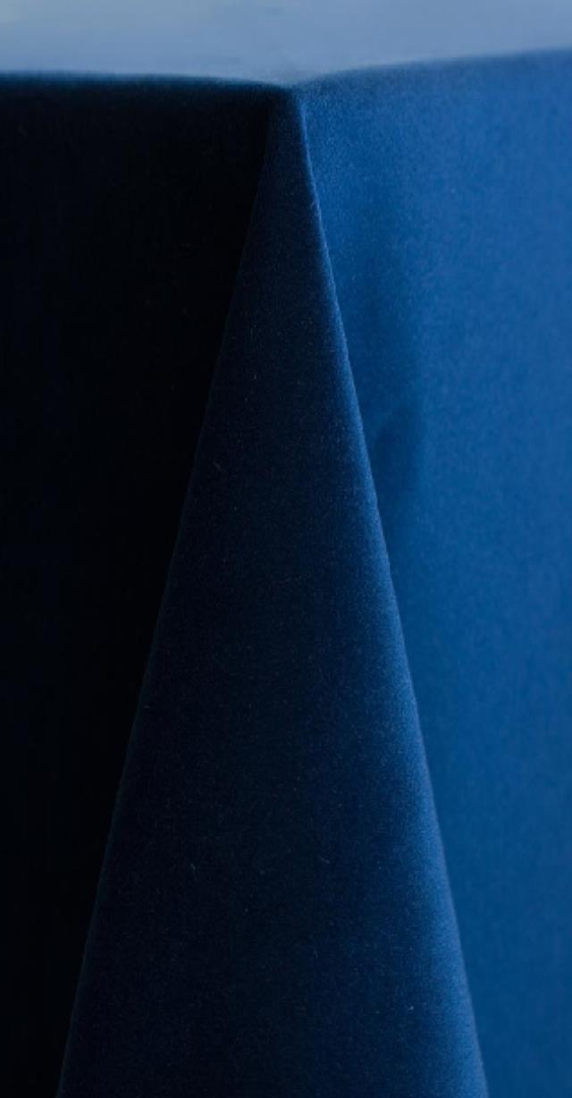 Rental store for BLUE MARINE VELVET RUNNER in Batesville MS