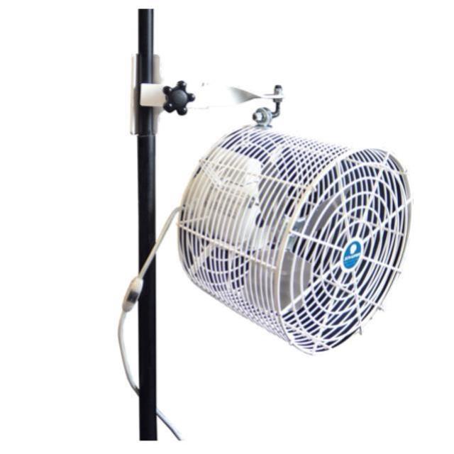 Rental store for FAN CLAMP ON FOR TENTS in Batesville MS