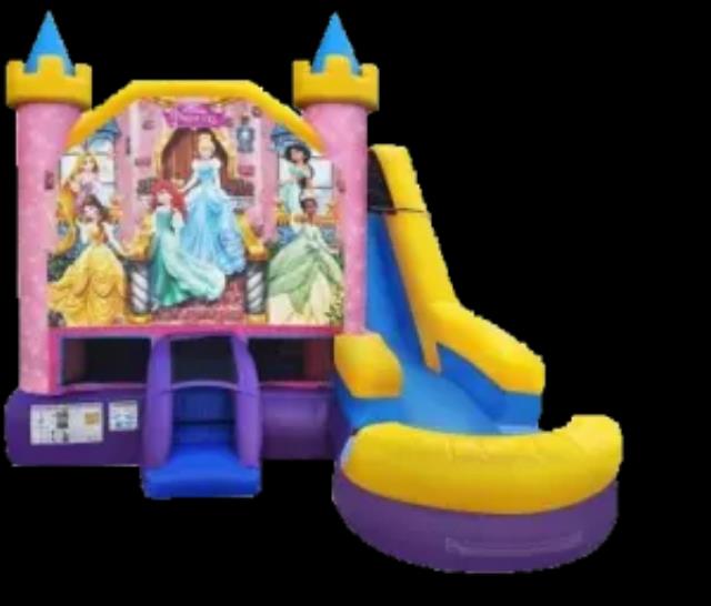Rental store for DISNEY PRINCESS 6 IN 1 COMBO WET DRY in Batesville MS