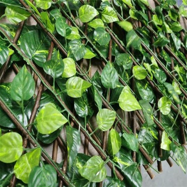 Rental store for FAUX BOXWOOD LATTICE SCREEN in Batesville MS