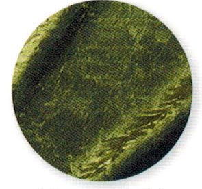 Rental store for GREEN 132RD MOSS IR CRUSH in Batesville MS