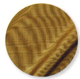 Rental store for GOLD 90X156 BENGALINE in Batesville MS